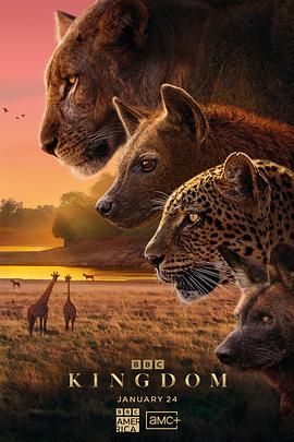 动物王国(国语)