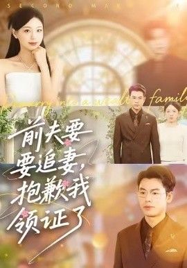 前夫要追妻,抱歉我领证了